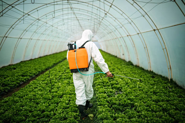 Pest Prevention Services in Farmville, VA