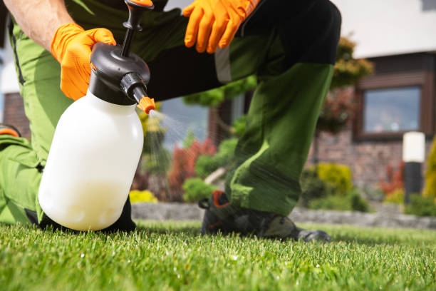 Best Best Pest Control Near Me  in Farmville, VA