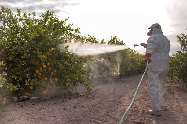 Professional Pest Control in Farmville, VA