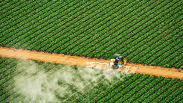  Farmville, VA Pest Control Pros