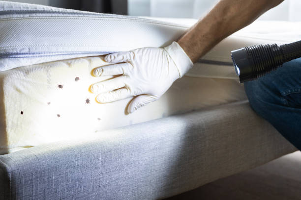 Best Residential Pest Control  in Farmville, VA