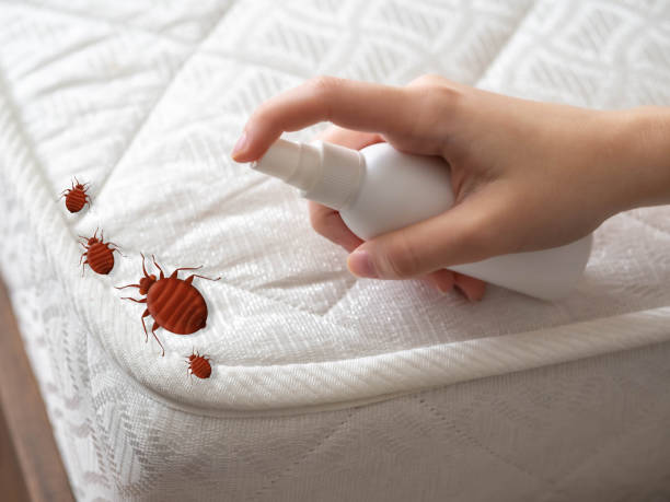 Best Residential Pest Control  in Farmville, VA