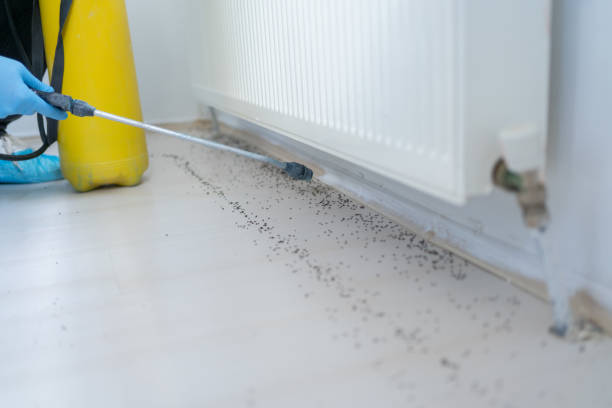 Best Pest Control Near Me in Farmville, VA